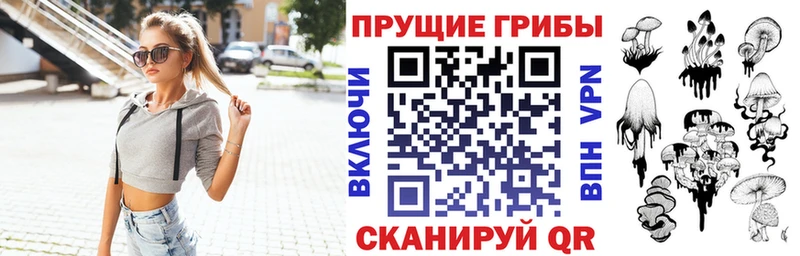 купить наркоту  Вольск  Псилоцибиновые грибы мухоморы 